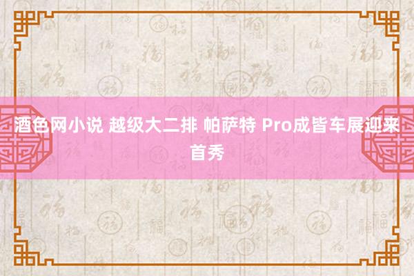 酒色网小说 越级大二排 帕萨特 Pro成皆车展迎来首秀