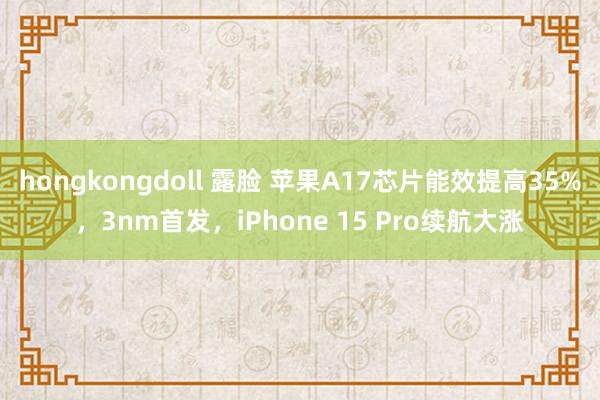 hongkongdoll 露脸 苹果A17芯片能效提高35%，3nm首发，iPhone 15 Pro续航大涨