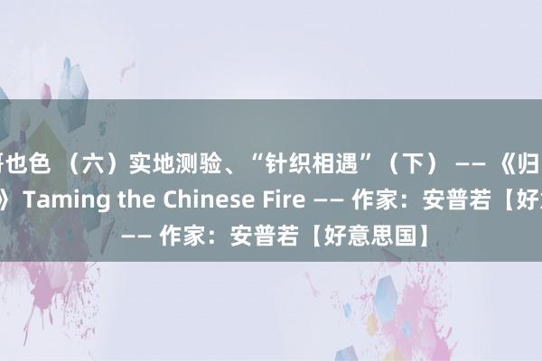 哥也色 （六）实地测验、“针织相遇”（下） —— 《归国驯火记》 Taming the Chinese Fire —— 作家：安普若【好意思国】