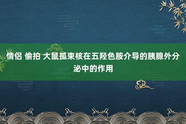 情侣 偷拍 大鼠孤束核在五羟色胺介导的胰腺外分泌中的作用