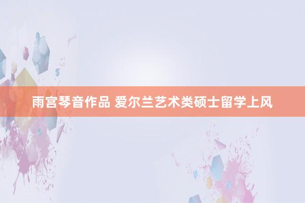 雨宫琴音作品 爱尔兰艺术类硕士留学上风