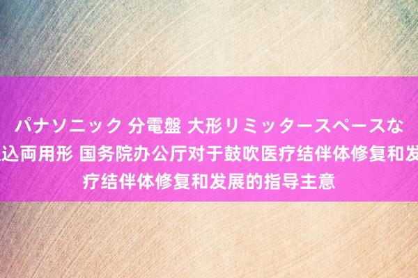 パナソニック 分電盤 大形リミッタースペースなし 露出・半埋込両用形 国务院办公厅对于鼓吹医疗结伴体修复和发展的指导主意