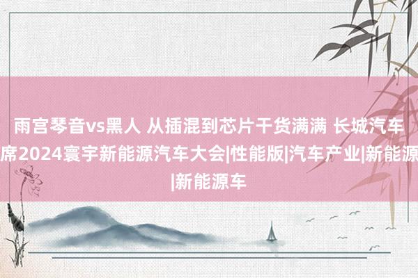 雨宫琴音vs黑人 从插混到芯片干货满满 长城汽车出席2024寰宇新能源汽车大会|性能版|汽车产业|新能源车