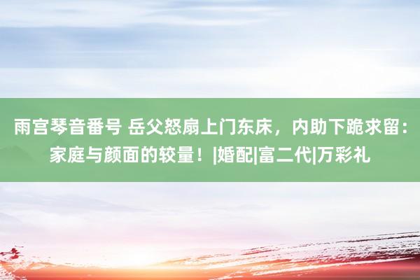 雨宫琴音番号 岳父怒扇上门东床，内助下跪求留：家庭与颜面的较量！|婚配|富二代|万彩礼