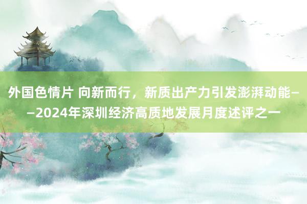 外国色情片 向新而行，新质出产力引发澎湃动能——2024年深圳经济高质地发展月度述评之一