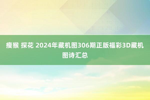 瘦猴 探花 2024年藏机图306期正版福彩3D藏机图诗汇总